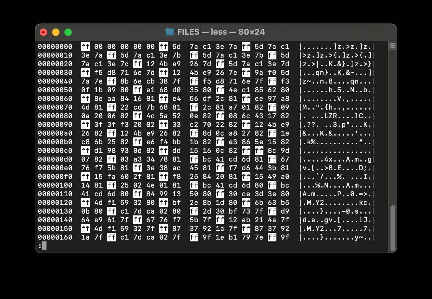 Data file in hex editor